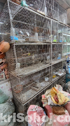 ৮টি খাচা বিক্র‍য় হবে ৪টি করে সাড়ি